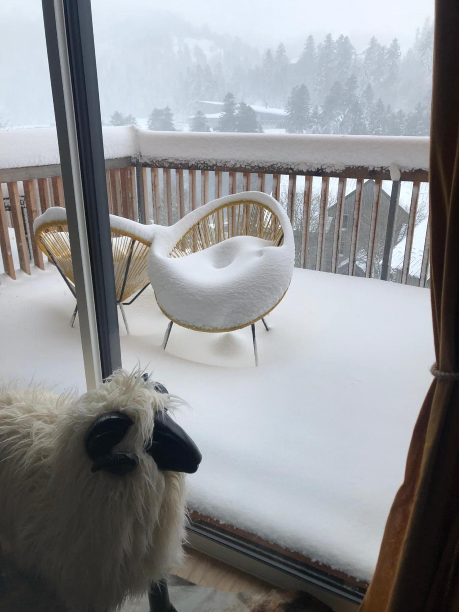 Appartement Aux Pieds Des Pistes De Ski Laveissiere ภายนอก รูปภาพ